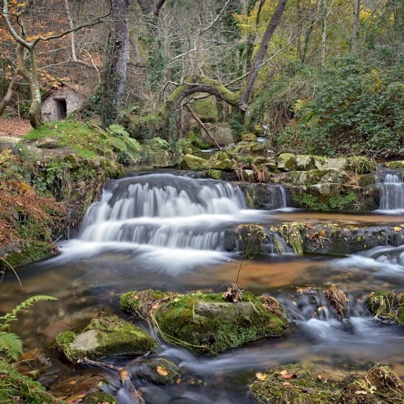 rio en parque historico Navia